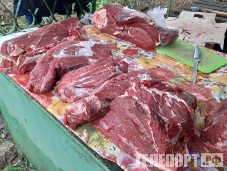 Головы косуль изъяли у охотников в Магдагачинском районе 