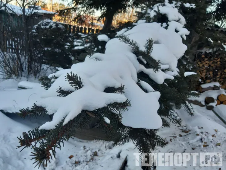 Днем в Амурской области 12 декабря малооблачно, без осадков
