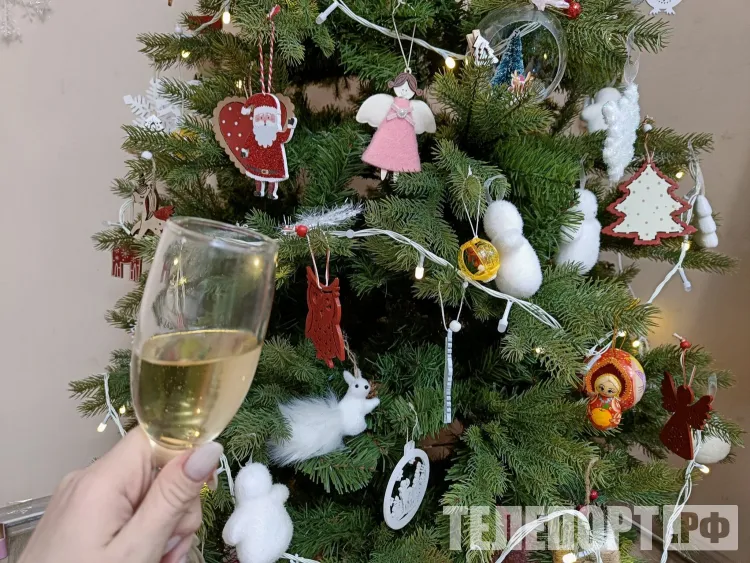 Новогоднее обращение Путина прозвучит в ночном клубе Благовещенска