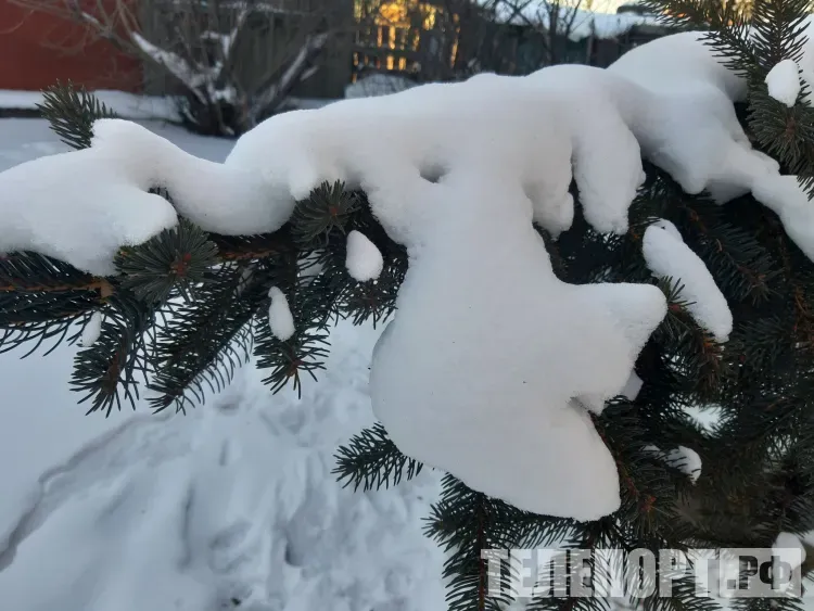 Амвросимов день: «Амвросий праздники отбросил»