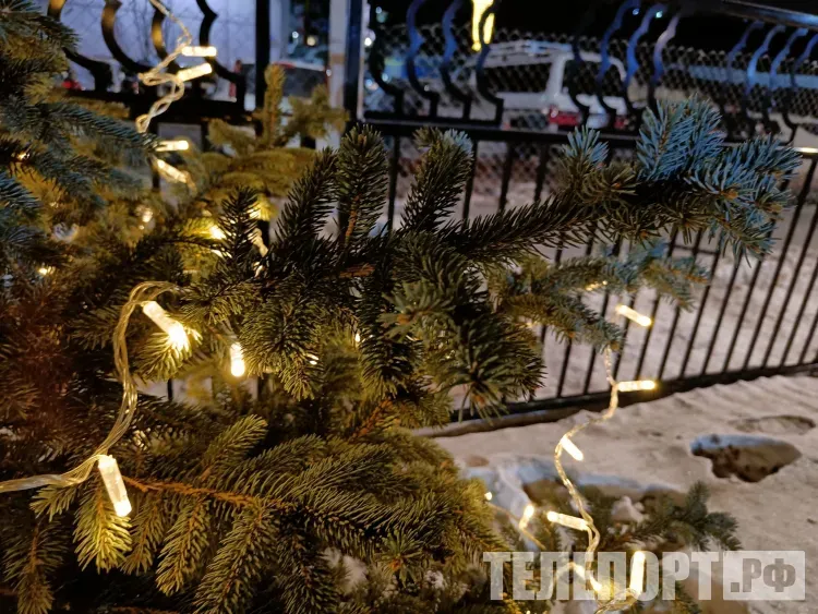 Деньги и путешествия, такие желанные подарки на Новый год, назвали россияне