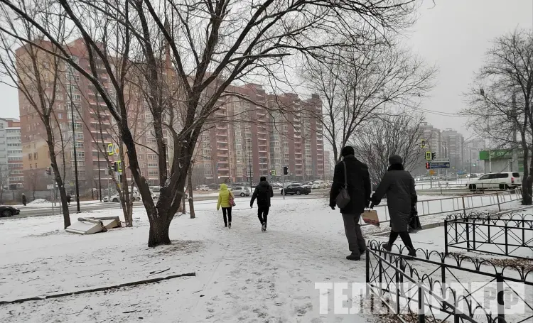 Небольшой снег пройдет местами по Амурской области 23 января