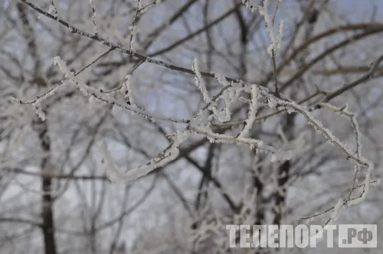 Переменная облачность, без существенных осадков в Амурской области 26 января