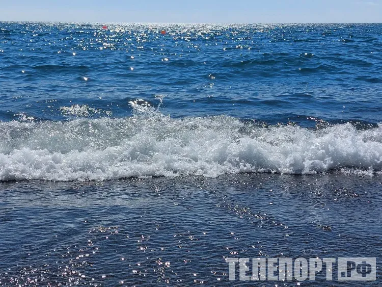 Землетрясения произошли в Тихом океане у берегов Камчатки