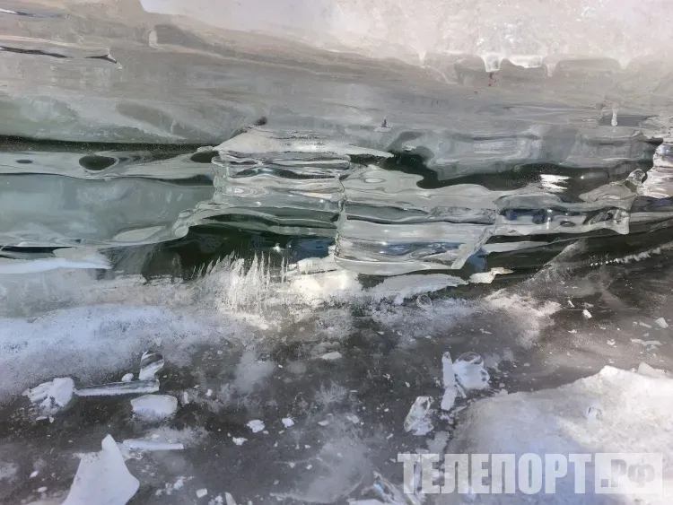 Алексей Рыбный: главным блюдом на столе были расстегаи