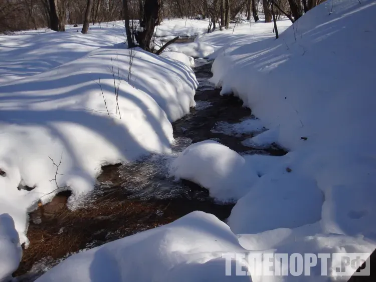 Малооблачно, без осадков в Амурской области 23 февраля