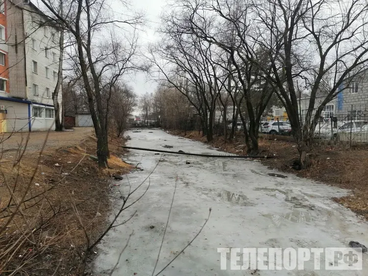 Малооблачно, преимущественно без осадков в Амурской области 8 марта