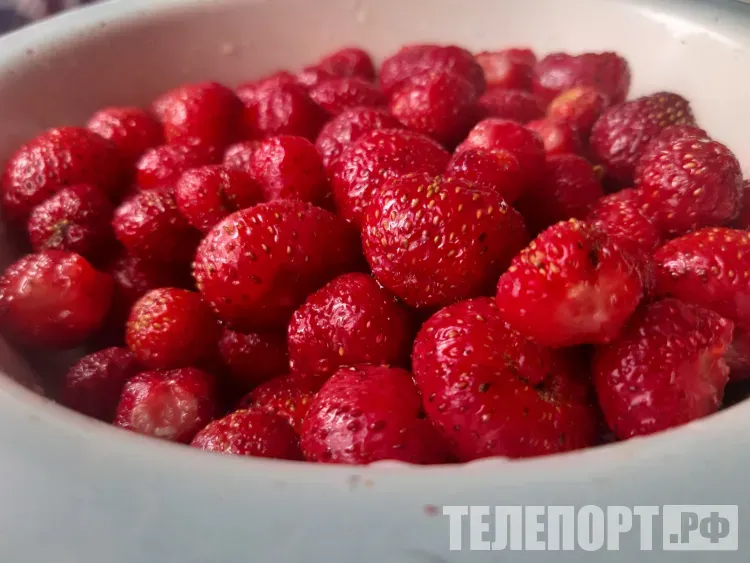 Дверь, варенье и шахматы дарили женщинам 8 Марта