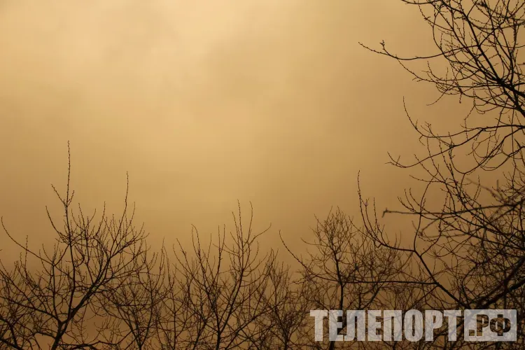 Песчаная буря из Китая и КНДР накроет Приморье в ближайшие часы