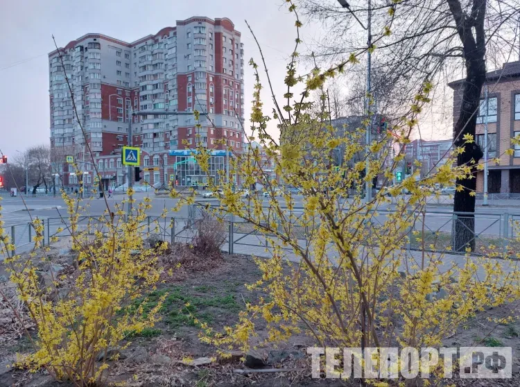 Переменная облачность, без существенных осадков в Амурской области 3 мая