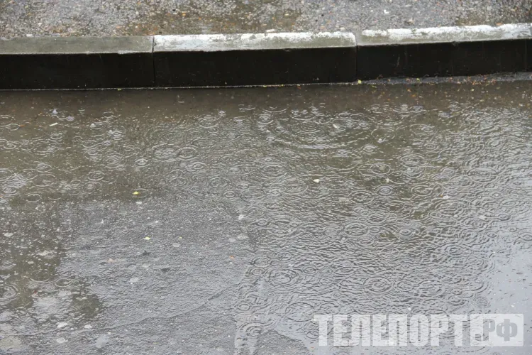 Небольшой дождь ожидается местами в Амурской области 4 мая