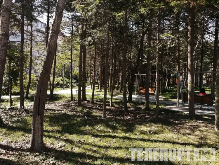 Муравьи могут спасти человечество от клещей