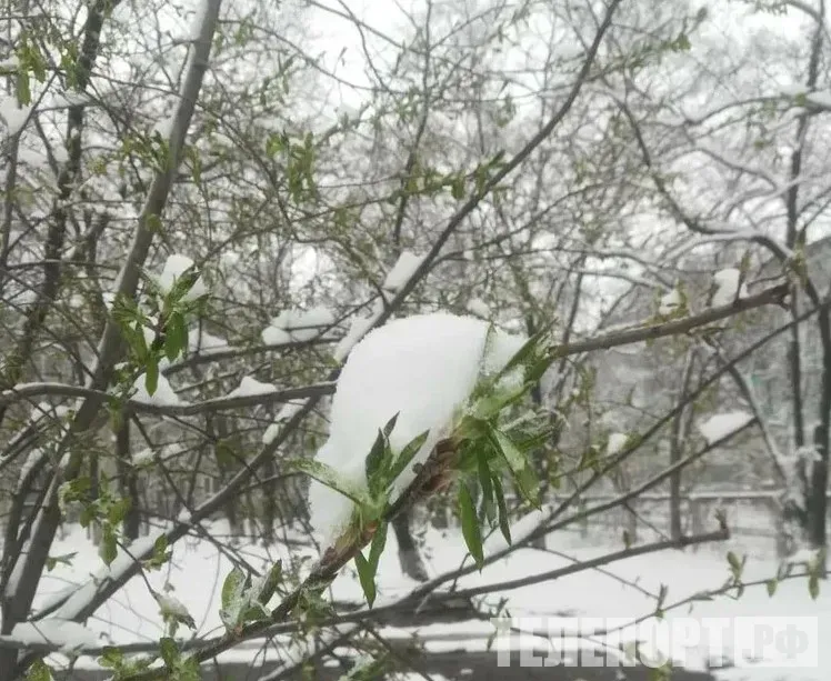 Снег выпал в Москве в мае