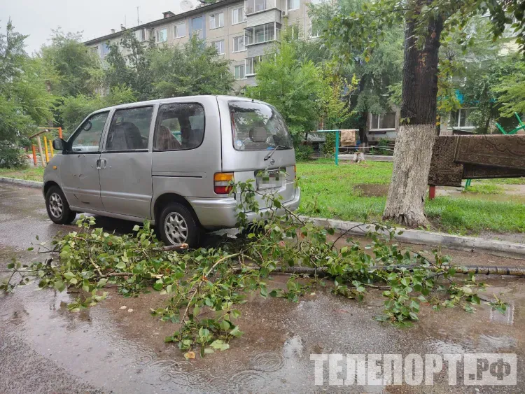 Сильный порывистый ветер ломает ветки в Благовещенске