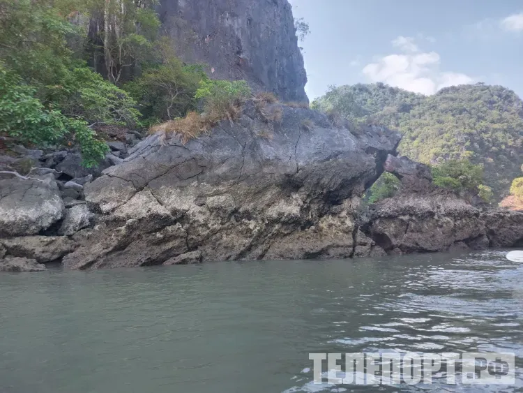 Новые виды моллюсков открыли на Курильских островах
