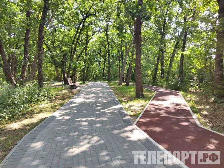 Гроза ожидается в отдельных районах Амурской области 6 июня