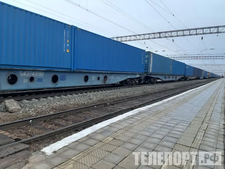 "Зайца" сняли с грузового поезда в Белогорске