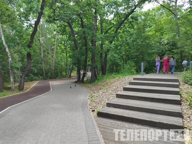 Маршрут здоровья откроется в зеленой зоне Благовещенска