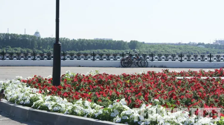 Гастрофестиваль "Берега вкуса" пройдет на набережной Амура во второй раз