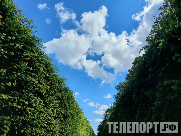 Границы ТОР "Амурская" расширят для строительства комбината