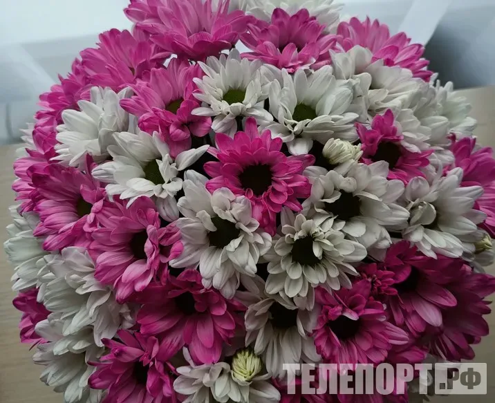 Подарки на День учителя дороже 3 тысяч рублей могут расценить как взятку