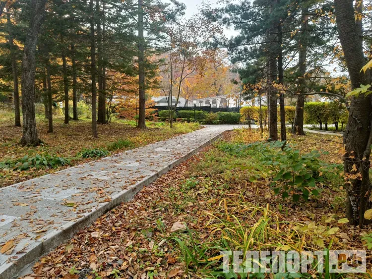 Тепло будет в Амурской области 6 октября