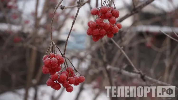 Температура опустится до 18 градусов мороза в Амурской области