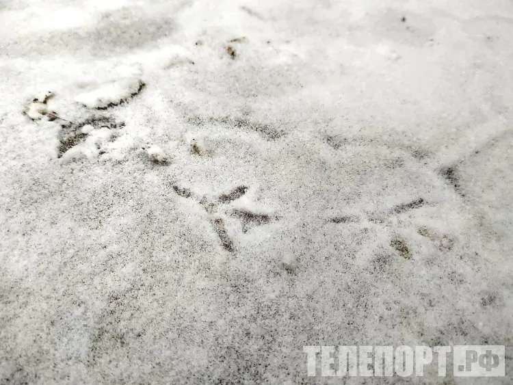 Иларионов день: на небе ни облачка - скоро придут холода