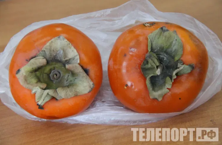 Импортную хурму с плодожоркой сожгут в Амурской области