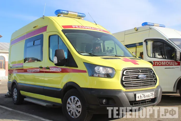 Соцсети: бродячая собака покусала ребенка в Сковородине