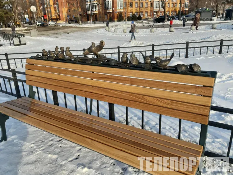 Облачно с прояснениями, местами по северу Амурской области 20 ноября небольшой снег