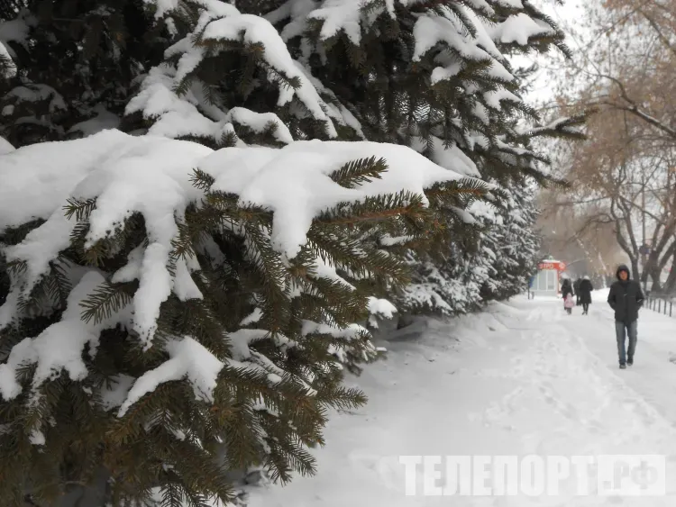 Очень сильный снег ожидается местами по южным и восточным районам Амурской области 26 ноября
