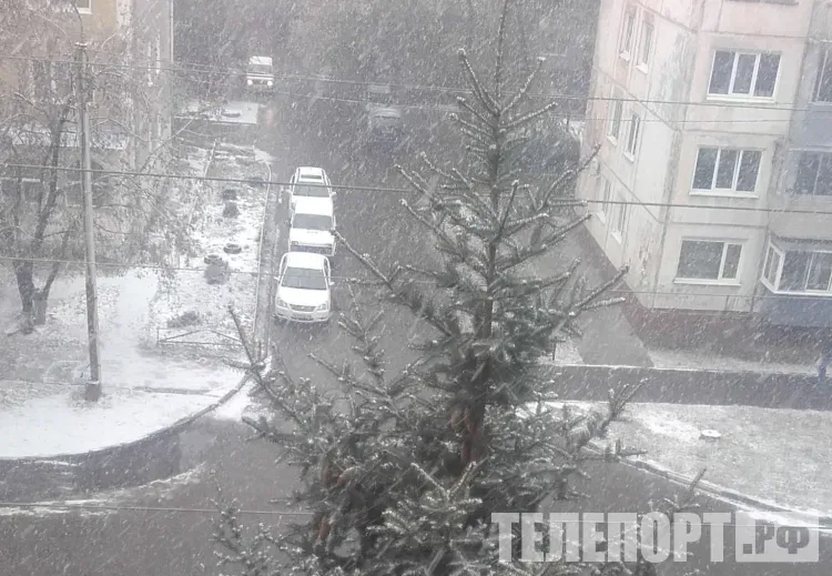 Снег, местами сильный снег пройдет днем в Амурской области 27 ноября