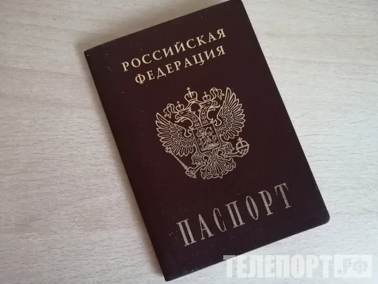 МВД: похищенные документы соседа сожгла жительница Ивановского округа