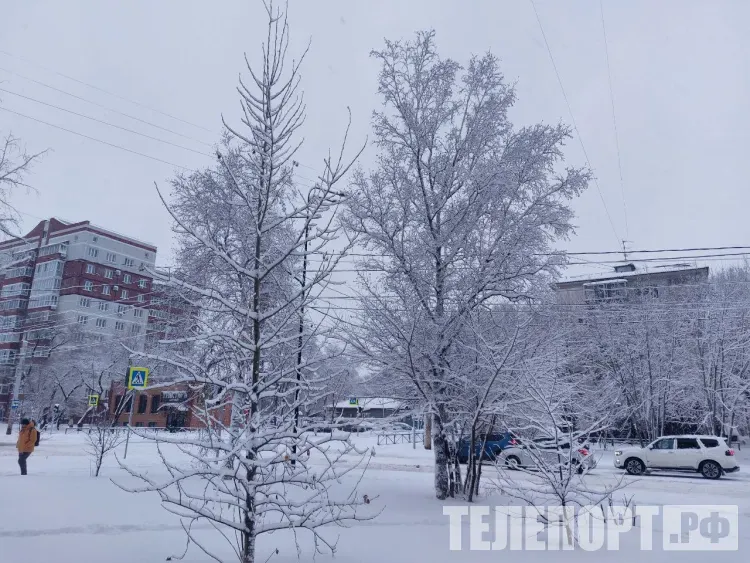 Небольшой снег в первый зимний день пройдет в Амурской области