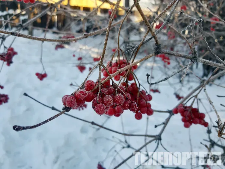 С середины недели станет холоднее в Амурской области