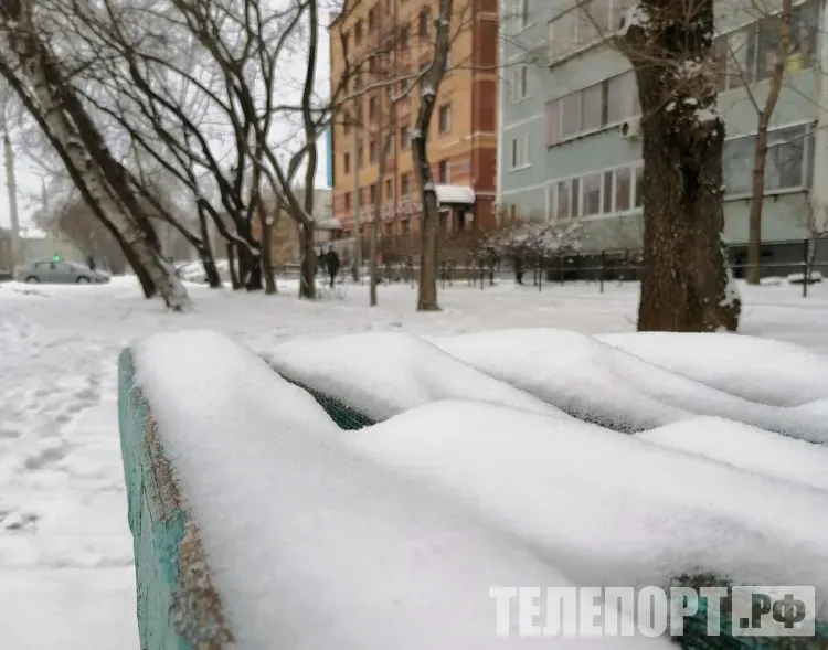 Небольшой и умеренный снег пройдет местами в Амурской области 27 февраля