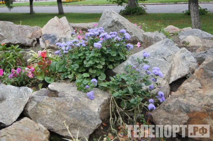 Небольшая облачность, без существенных осадков в Амурской области 10 июня