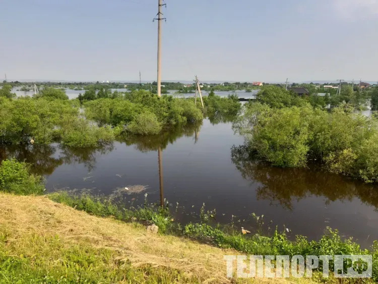 Дождевая вода затопила участки в Амурской области