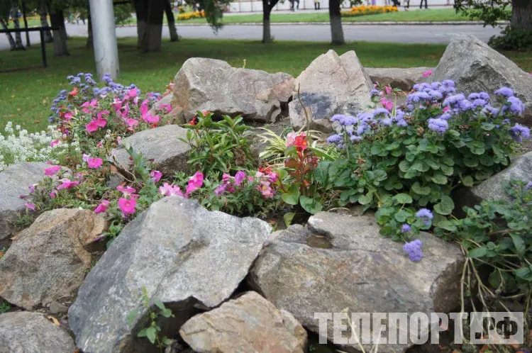 Штрафовать за хождение по газонам предложили депутаты Благовещенска