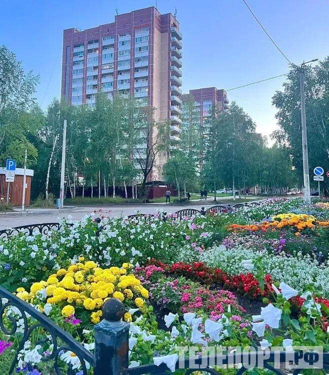 Жара на севере Приамурья побила рекорды 70-летней давности