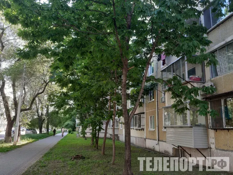 Небольшой и умеренный дождь пройдет местами в Амурской области 3 июля