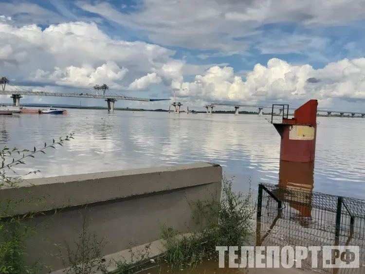 Сильные дожди, ливни и грозы ожидаются в Амурской области 5 июля