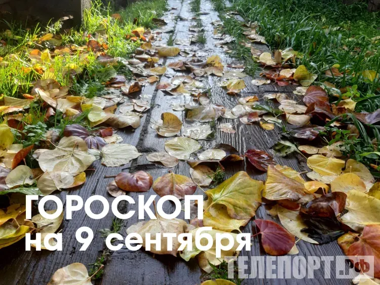 Финансовый успех ждет Дев 9 сентября