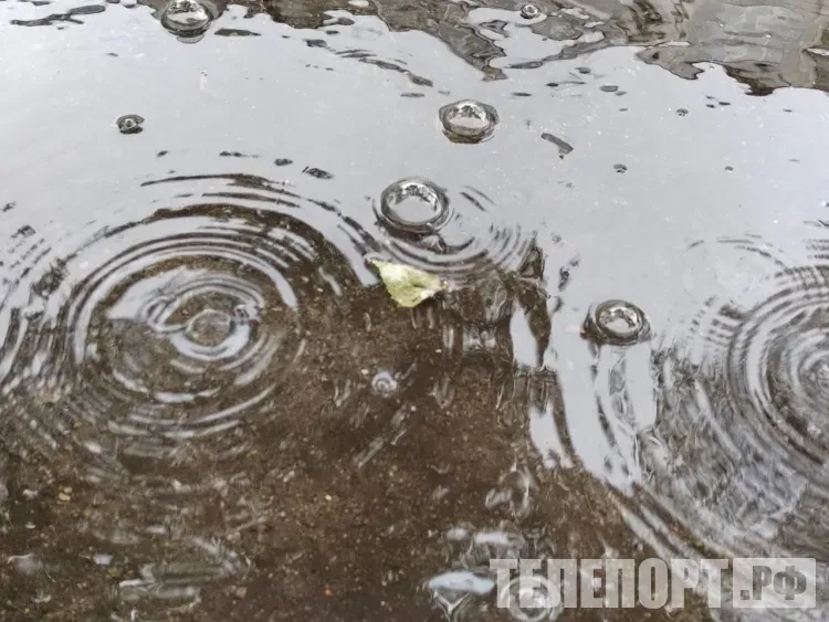 Гроза прогремит местами в Амурской области 19 сентября