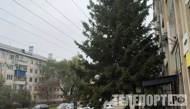 Первый снег прошел в Благовещенске