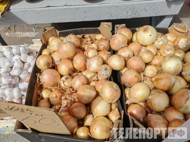Казахстан снабдил Амурскую область тоннами лука