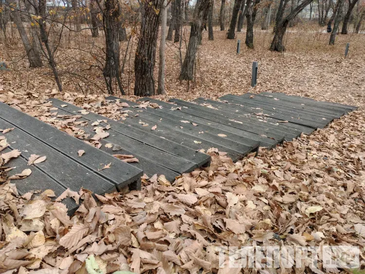 Потепление до +7 придет в Амурскую область 23 октября