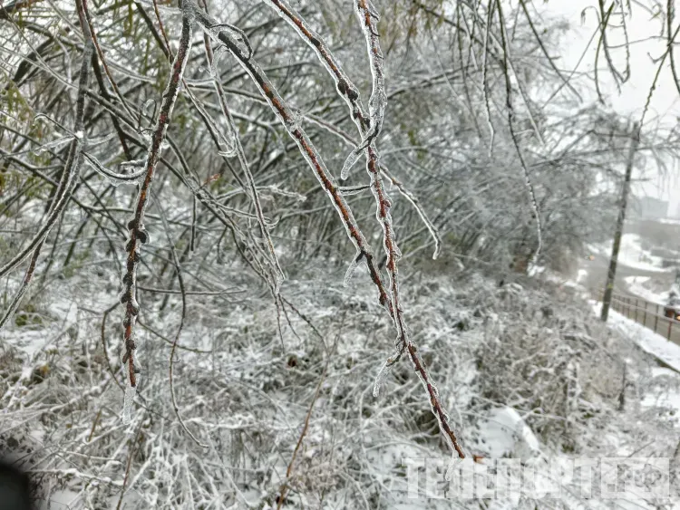 Климатическое безумие: какой будет погода в России в ноябре