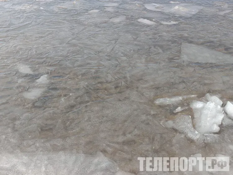 Амур готовится к спячке: ледоход идет по пограничной реке в Амурской области